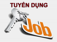 Tuyển dụng Nhân viên hỗ trợ SEO